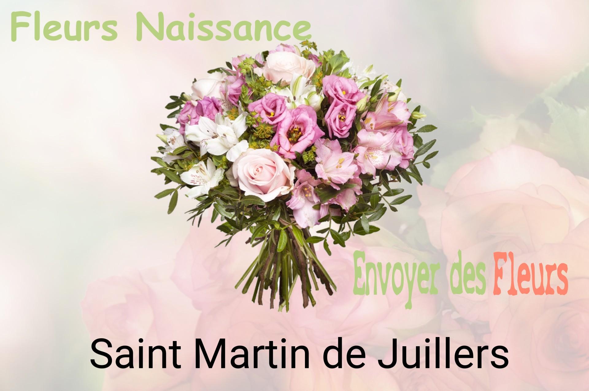 Bouquet de fleurs de naissance livré à Saint-Martin-de-Juillers