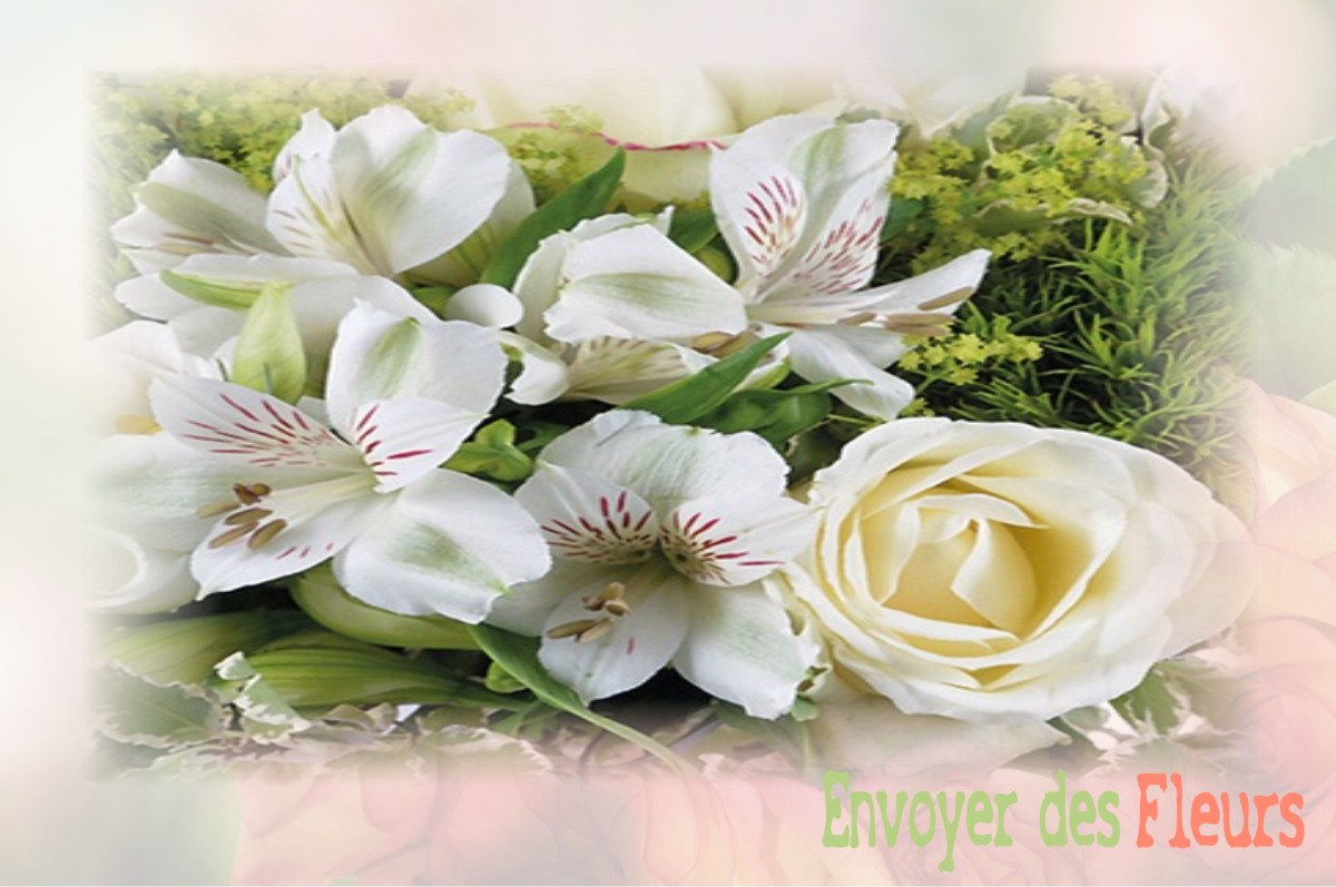 envoyer des fleurs à à SAINT-MARTIN-DE-JUILLERS